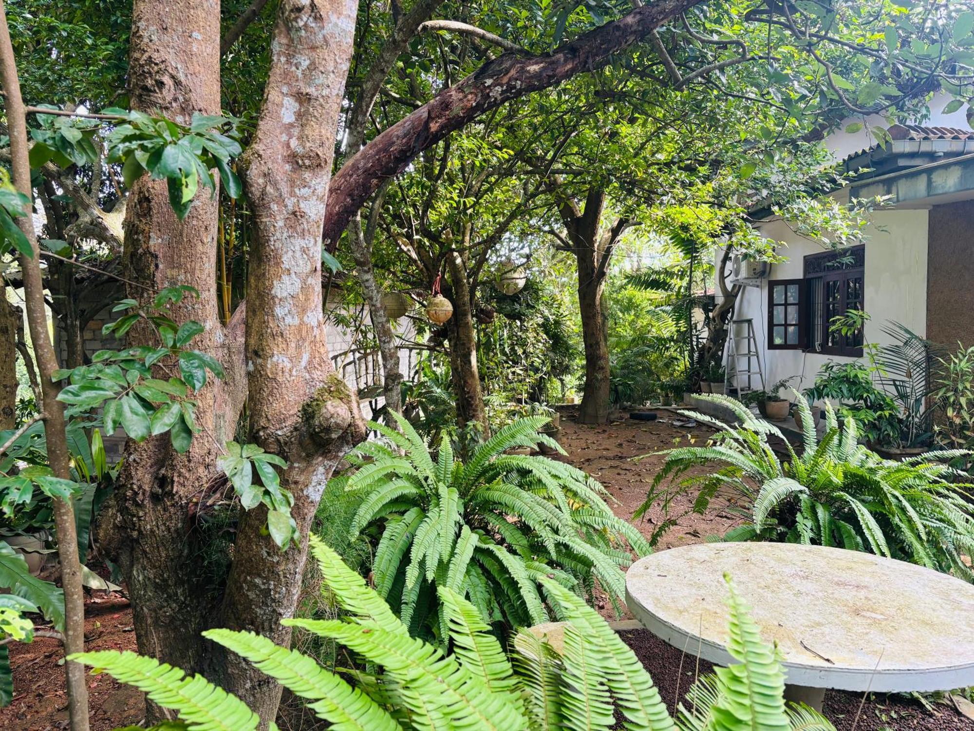 Eco Garden Hiriketiya Otel Dikwella Dış mekan fotoğraf