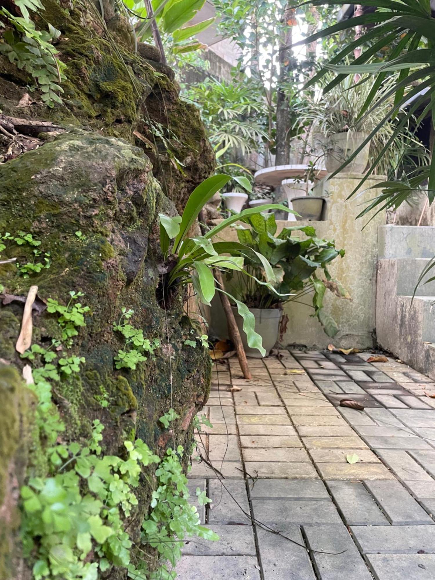 Eco Garden Hiriketiya Otel Dikwella Dış mekan fotoğraf