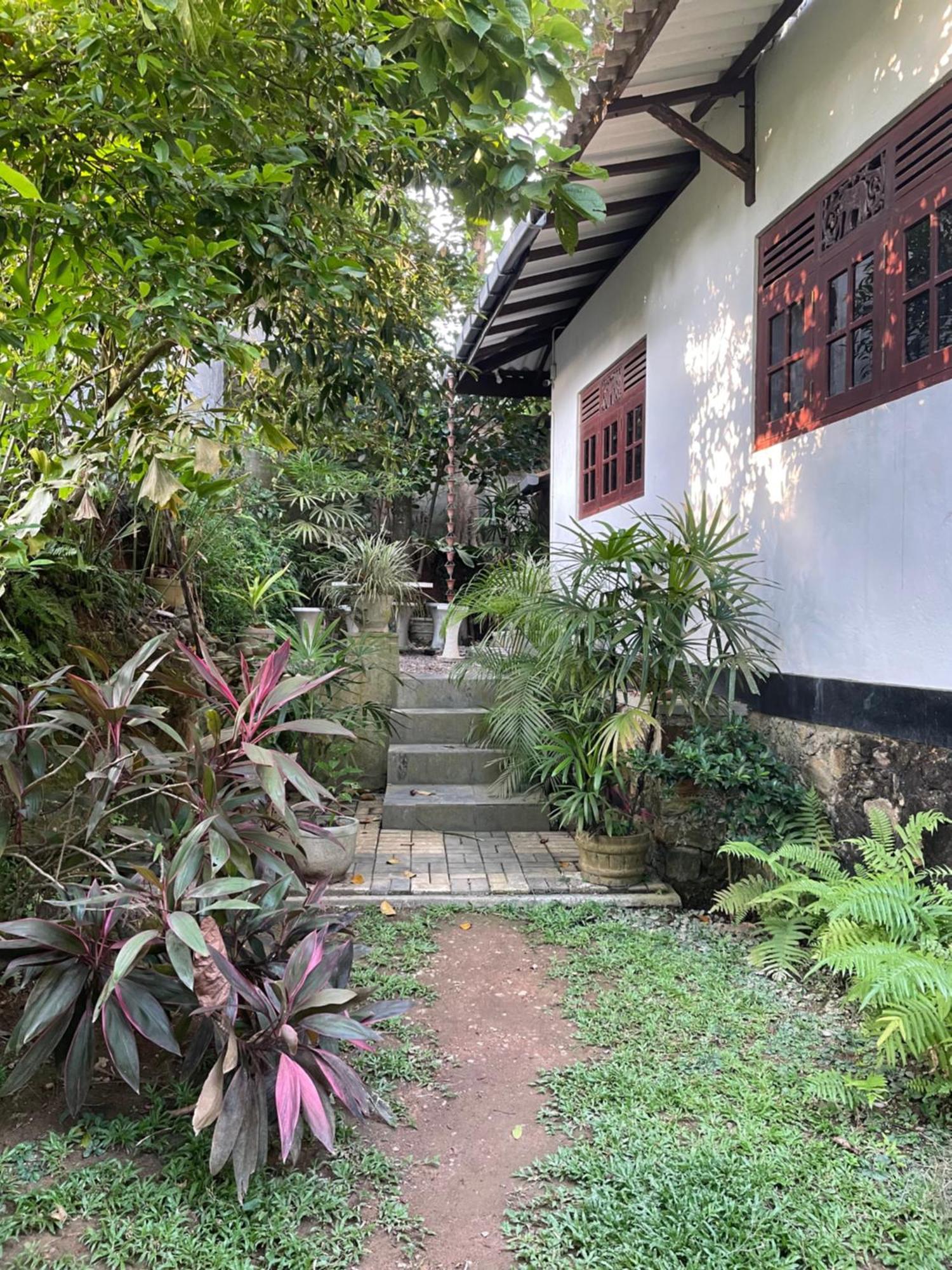Eco Garden Hiriketiya Otel Dikwella Dış mekan fotoğraf