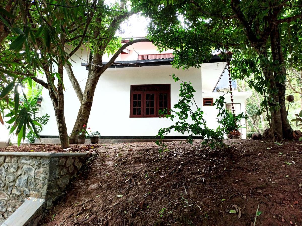 Eco Garden Hiriketiya Otel Dikwella Dış mekan fotoğraf