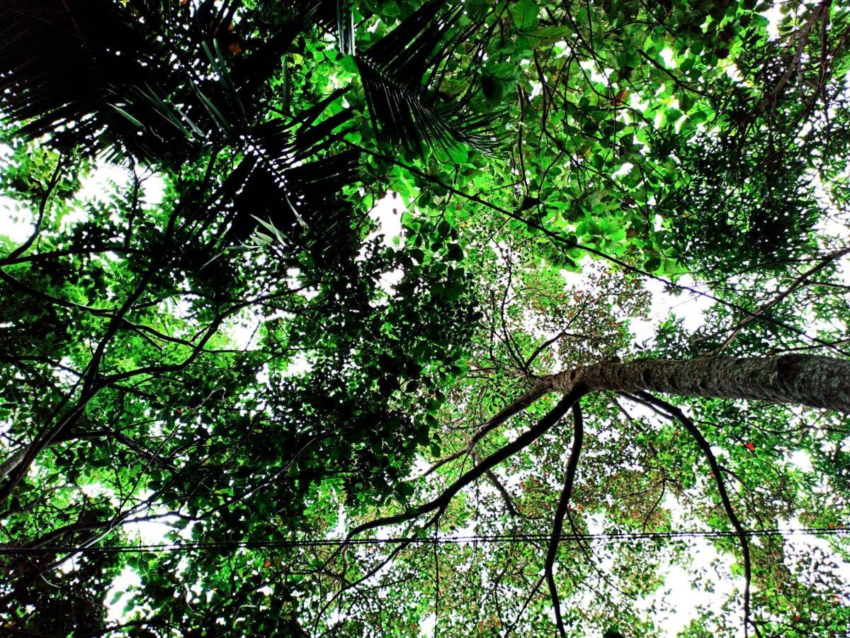 Eco Garden Hiriketiya Otel Dikwella Dış mekan fotoğraf