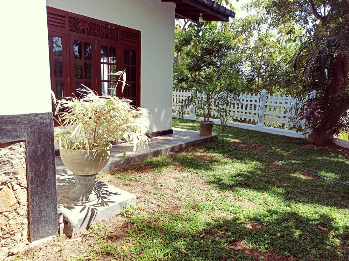 Eco Garden Hiriketiya Otel Dikwella Dış mekan fotoğraf