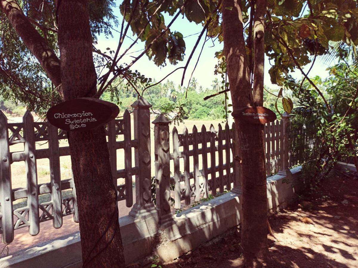 Eco Garden Hiriketiya Otel Dikwella Dış mekan fotoğraf