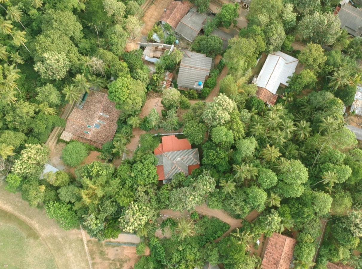 Eco Garden Hiriketiya Otel Dikwella Dış mekan fotoğraf